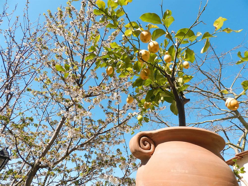 Bacio Del Sole B&B Positano Exteriér fotografie